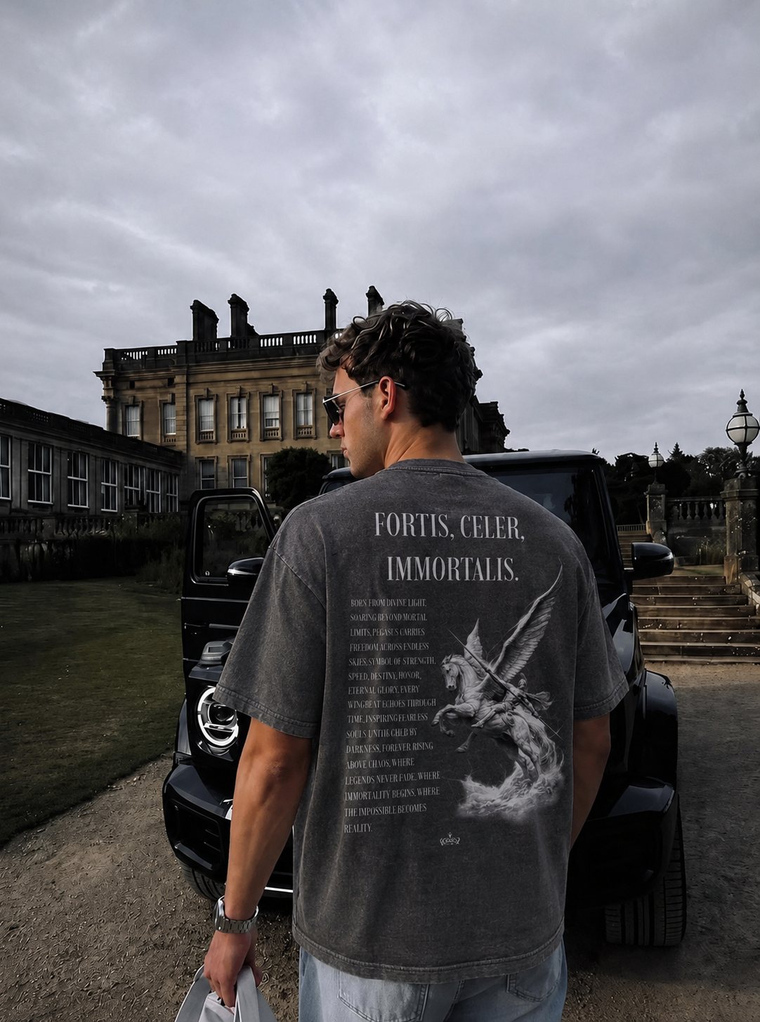 Pegasus Theos T shirt