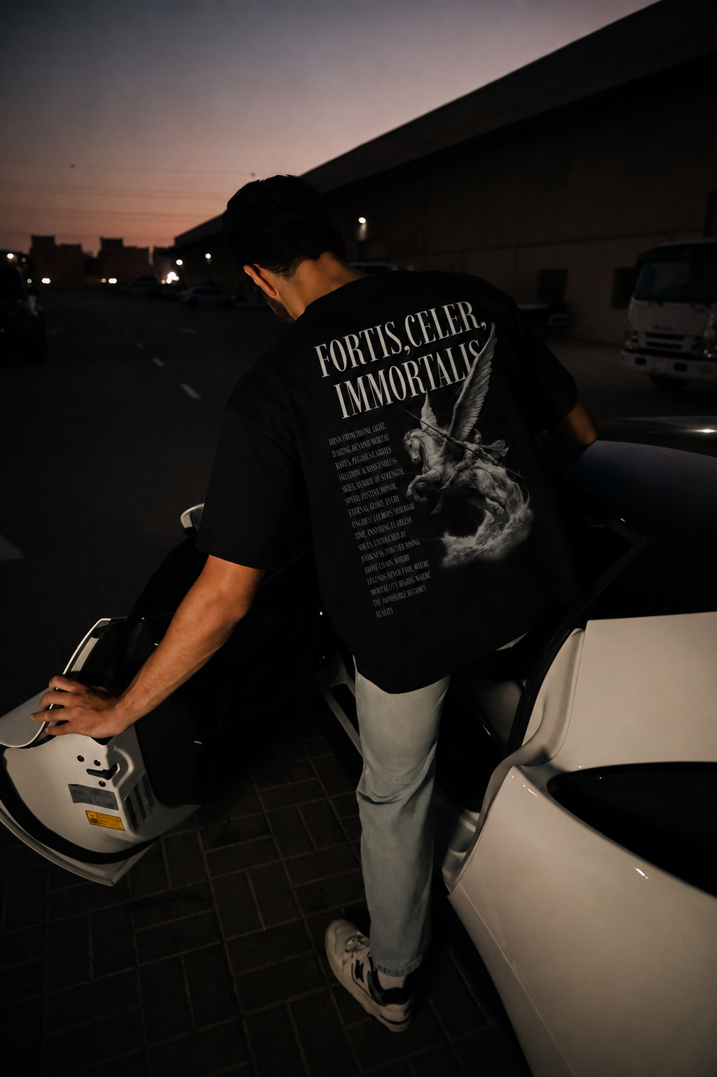 Pegasus Theos T shirt